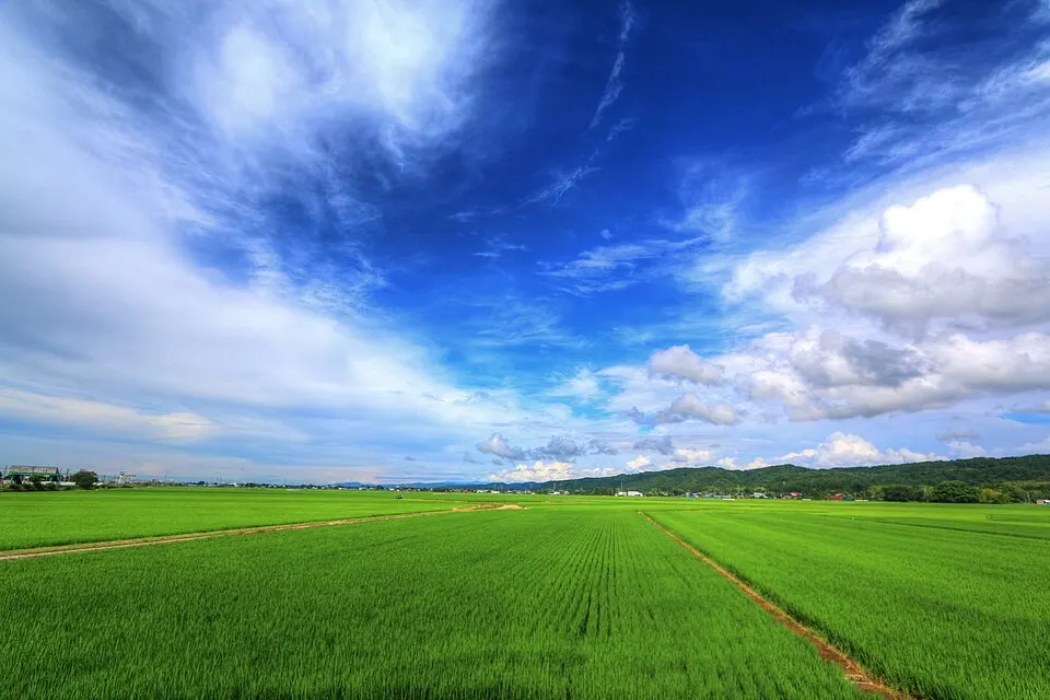 Niigata countryside, Niigata